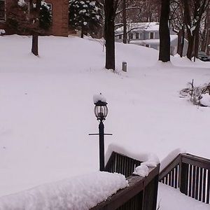 Meet your Posher, Tameca